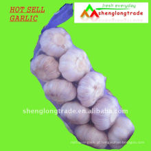 nova fábrica de alho fresco branco normal chinês 008615966901802